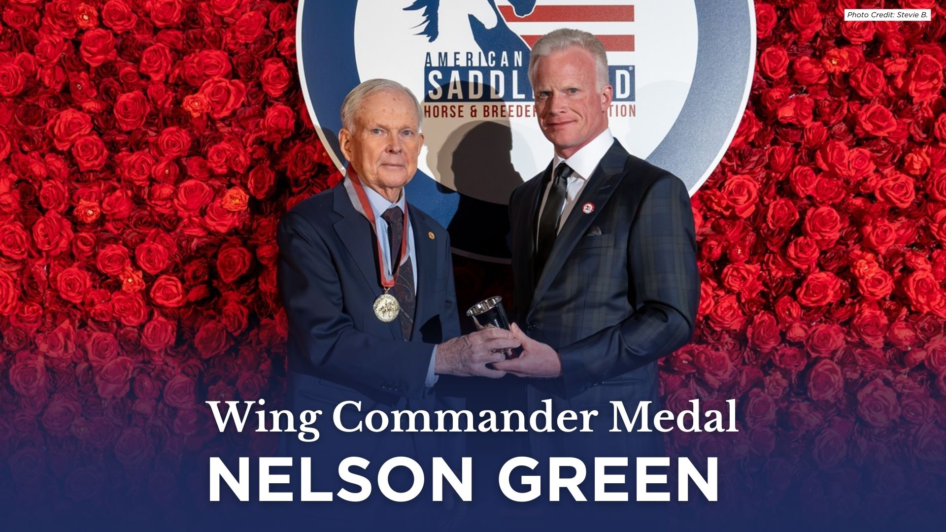 Wing Commander Medal.jpg