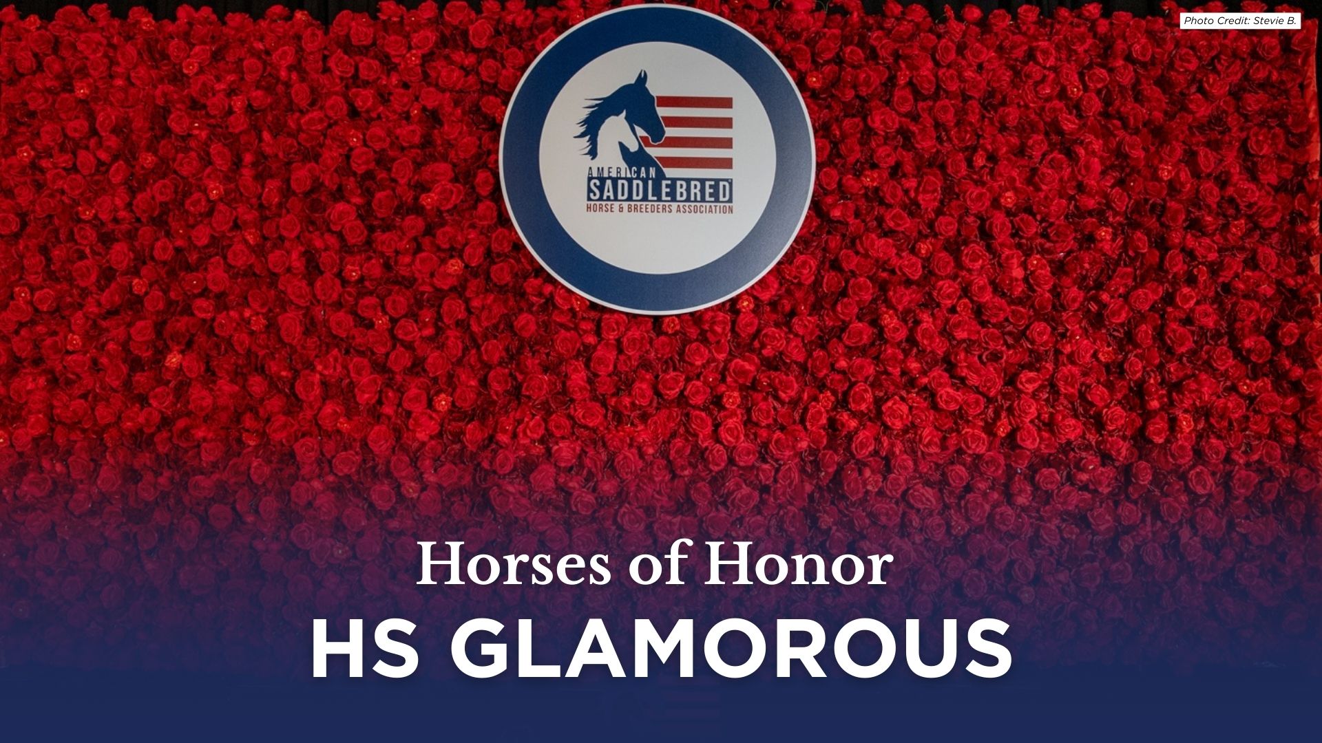 Horses of Honor Harness Horse.jpg