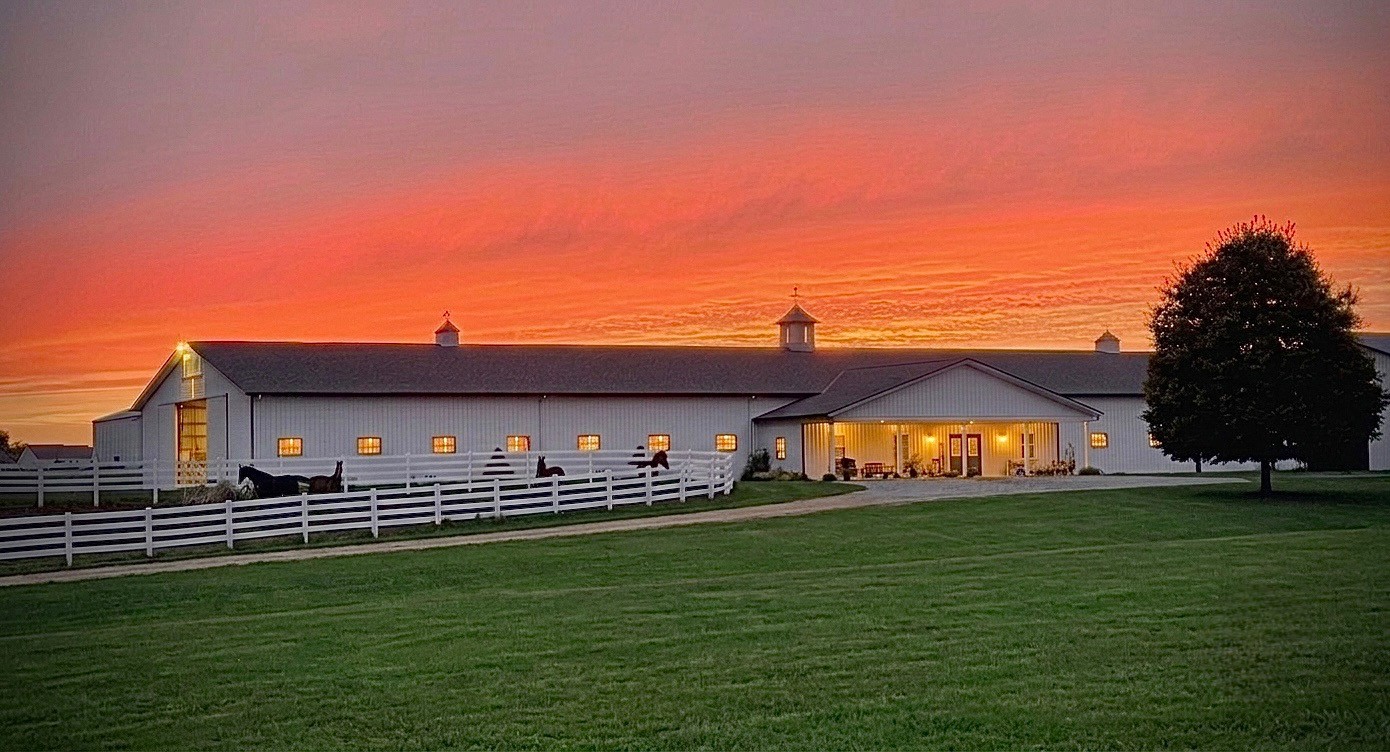 Sunset farm Saddlebreds.jpg