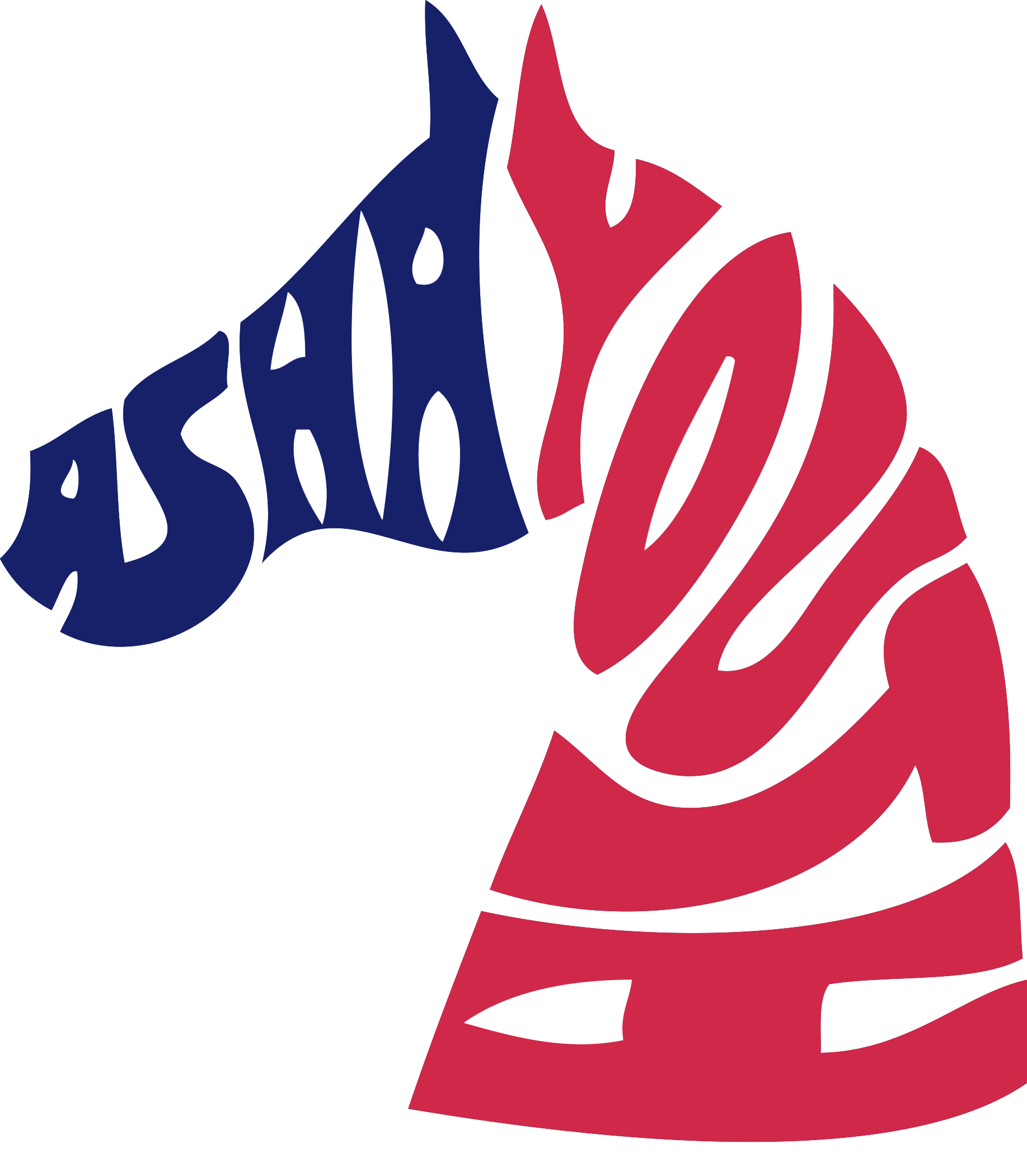 ASHAYouthlogo.png