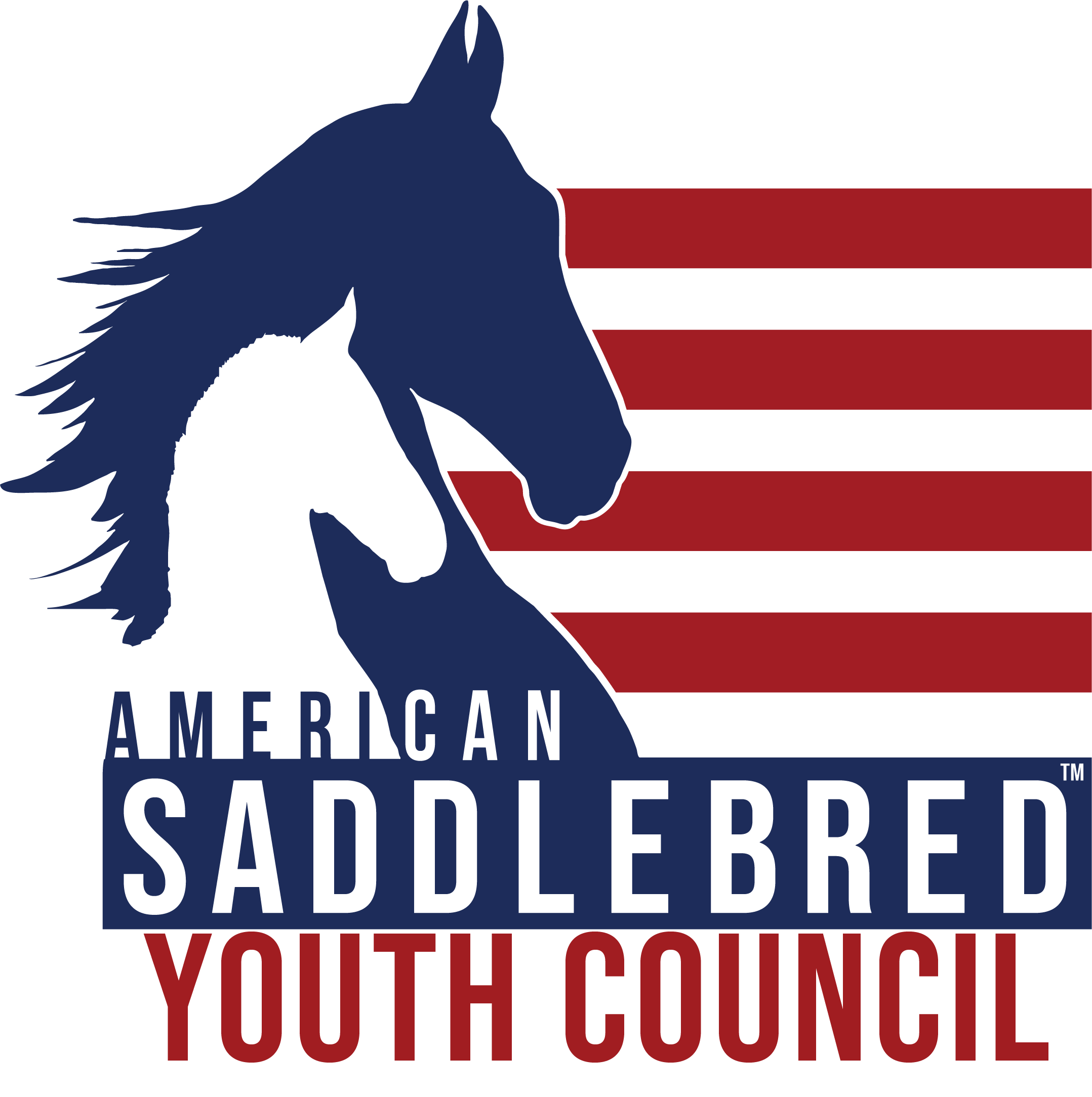 Youth council (002).png