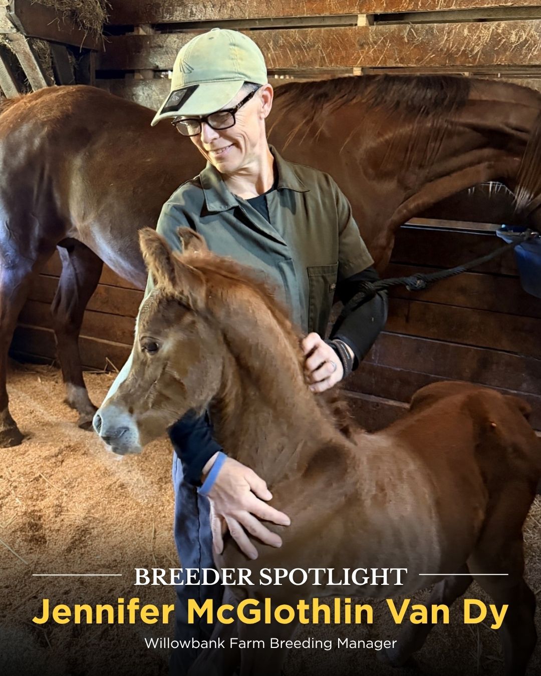 Registry - May 12 (Breeders spotlight).jpg