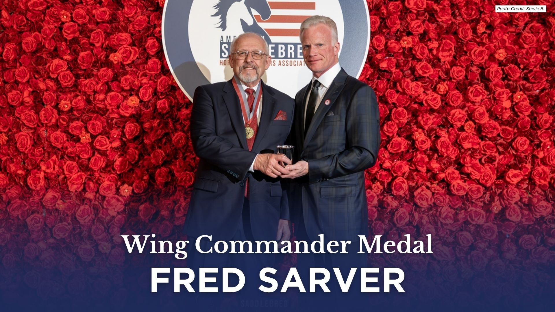 Wing Commander Medal (2).jpg