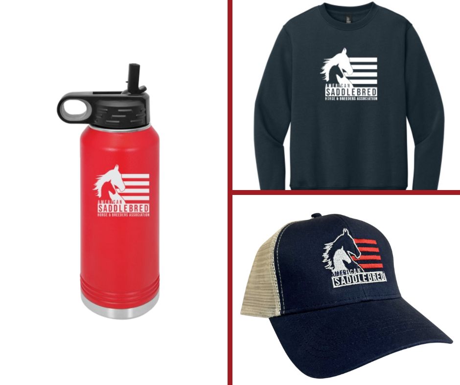 Shopify merch.jpg