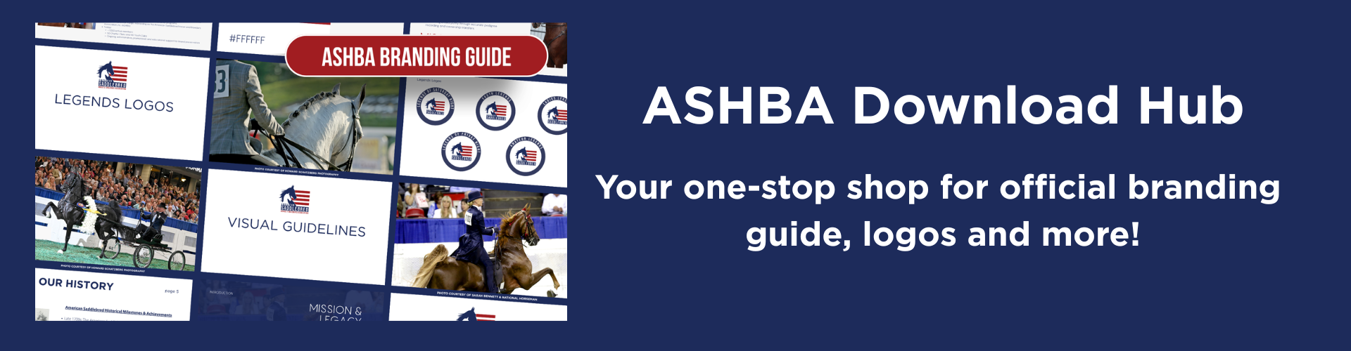Download webpage banner.png