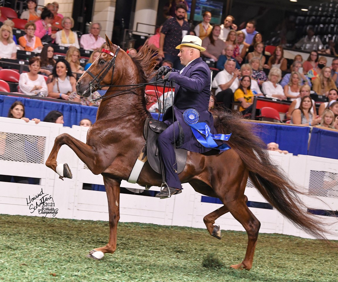 Five Gaited