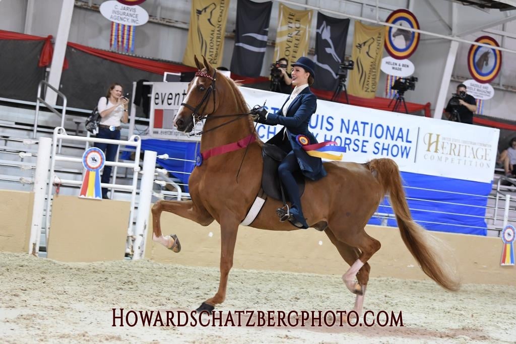 Pleasure Equitation