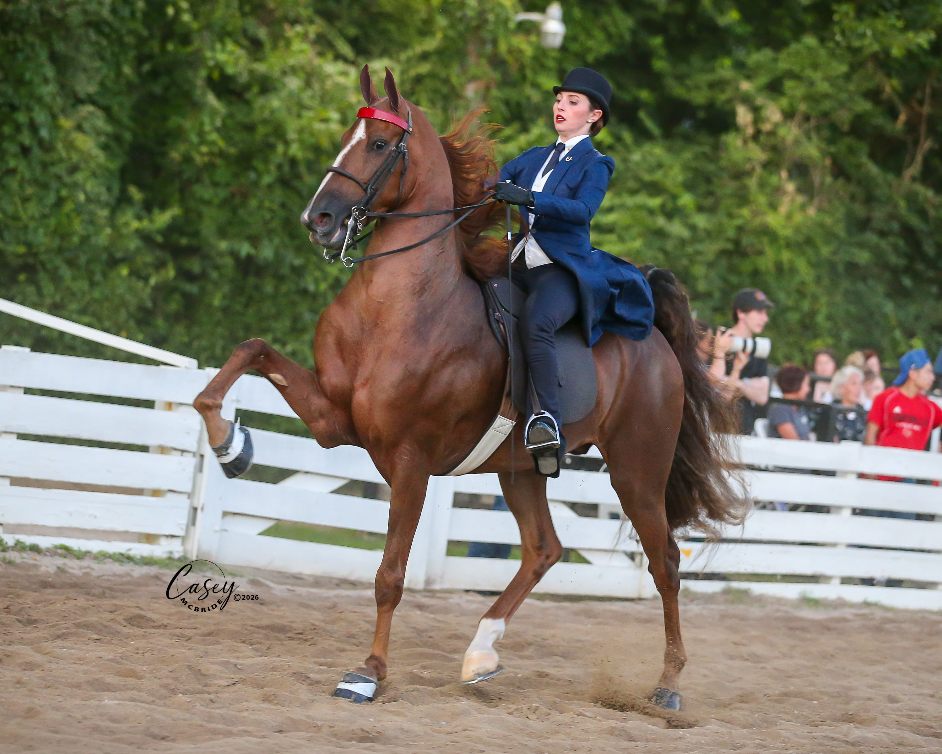 Burger 016-026-RC26.jpg