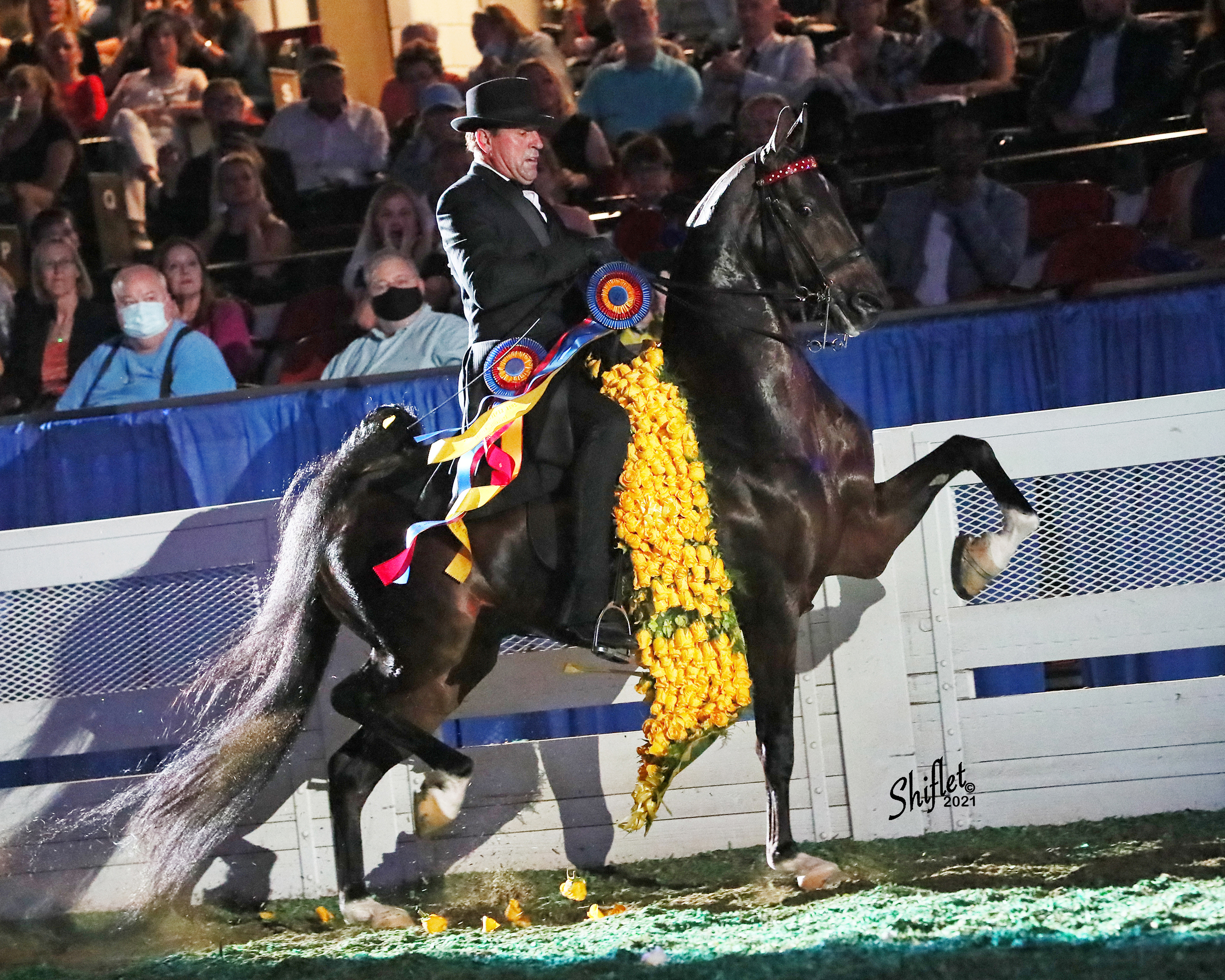 Three Gaited