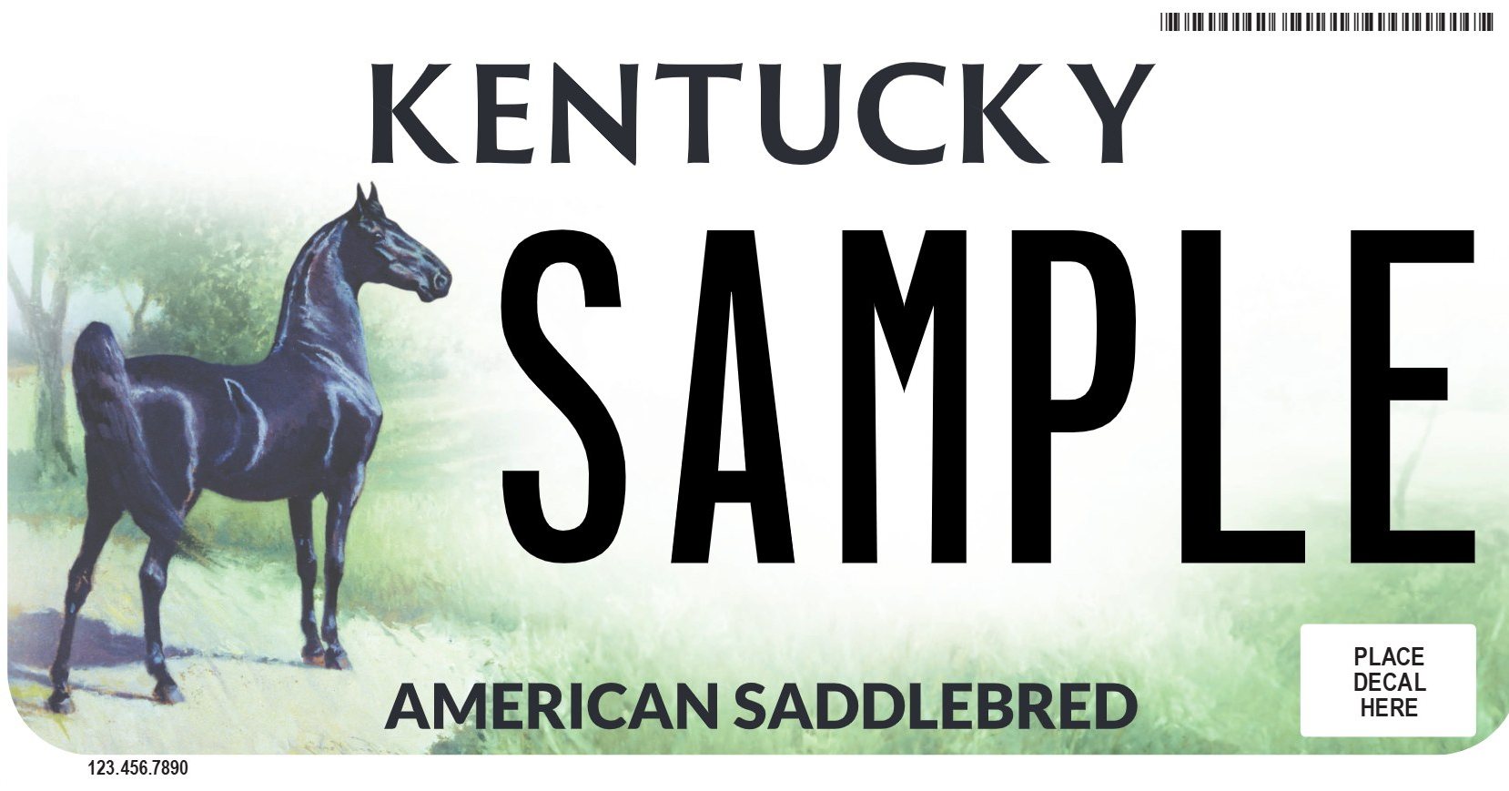 KY License Plate.jpg